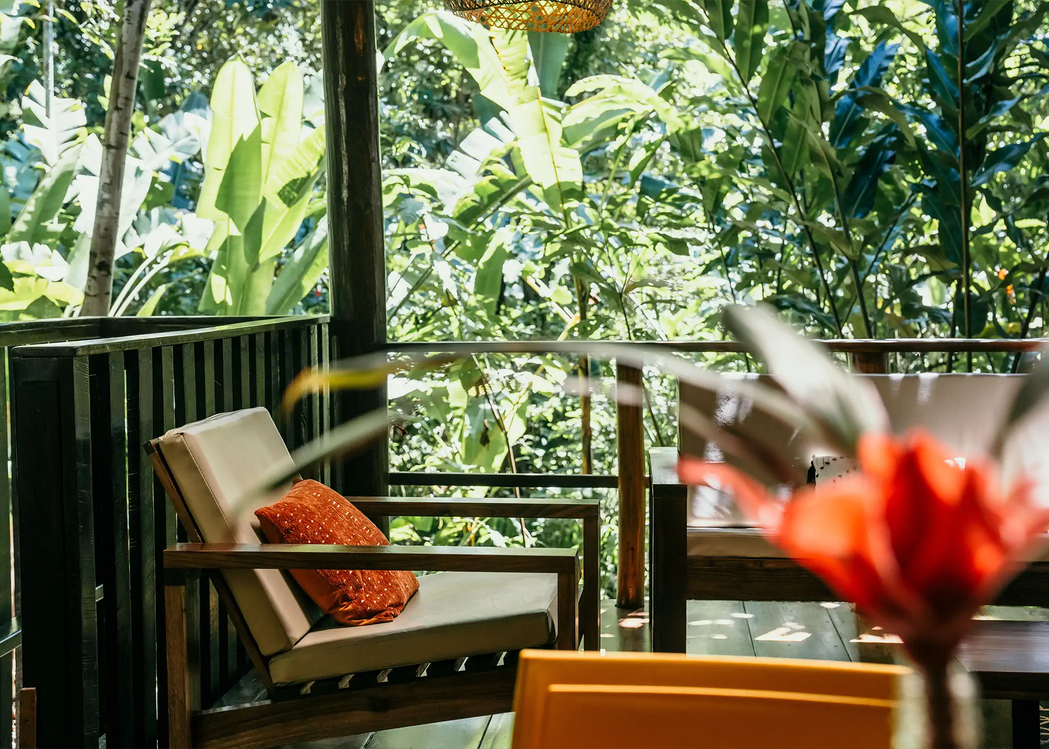 Wooden balcony with lounge chair overlooking dense tropical rainforest banana plants