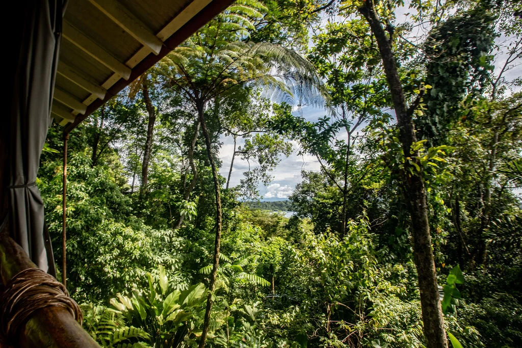 Family Treetop Bungalow surrounded by tropical jungle with water views