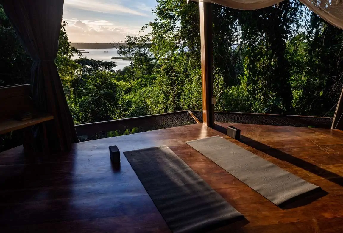 Panoramic rainforest and ocean bay views from jungle bungalow Panama