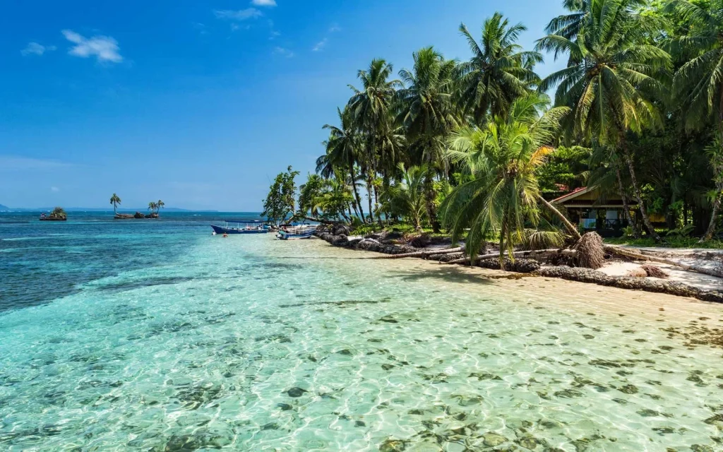 Crystal-clear Caribbean waters and palm-lined shoreline at La Loma Jungle Lodge in Bocas del Toro, Panama