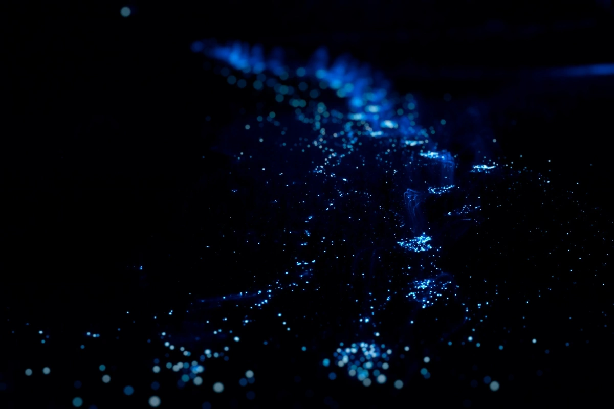 Blue bioluminescent dinoflagellates glowing in the waters of Bahia Honda, Bocas del Toro, Panama