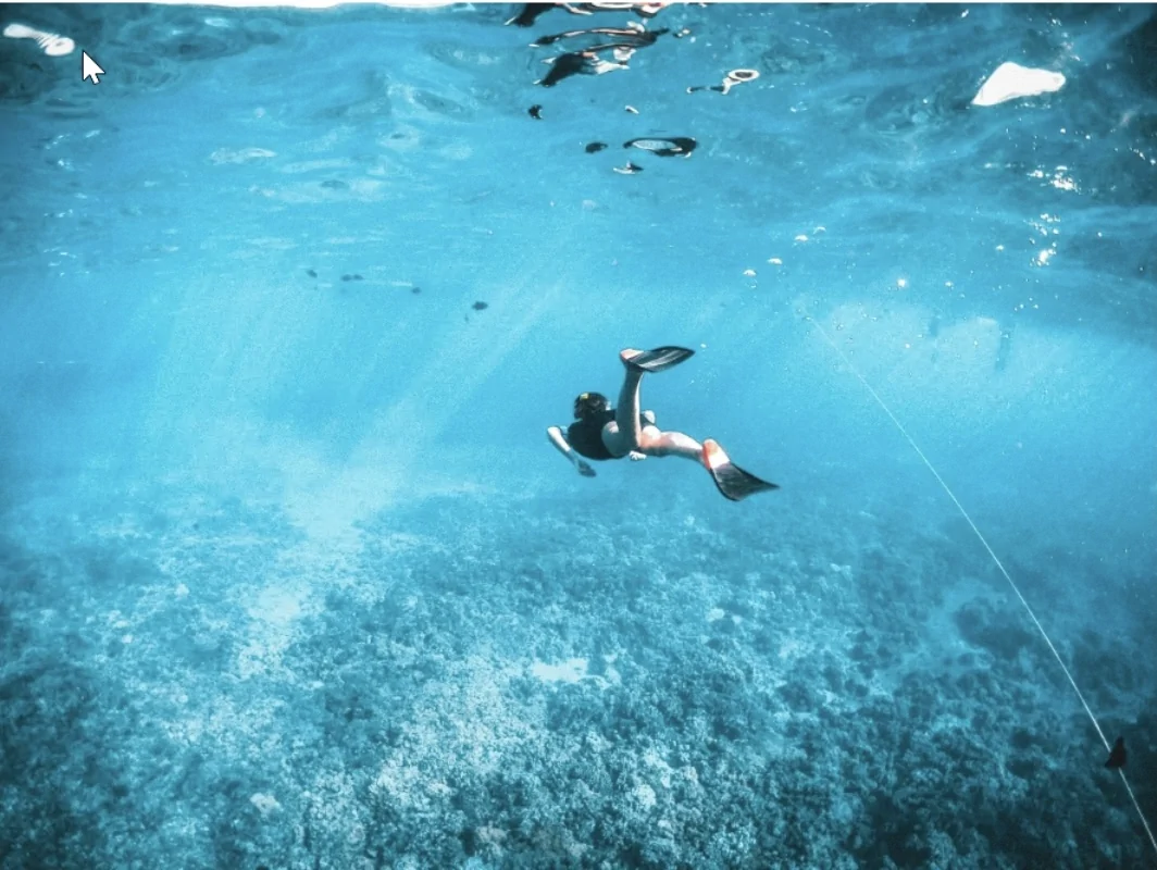Snorkeling near Cayos Zapatilla in Bastimentos Island National Marine Park.