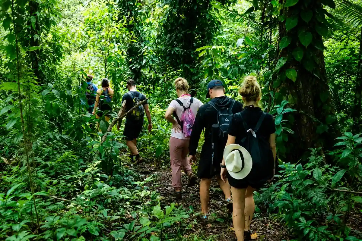 Guests hiking through rainforest on Isla Bastimentos in Bocas del Toro, Panama.